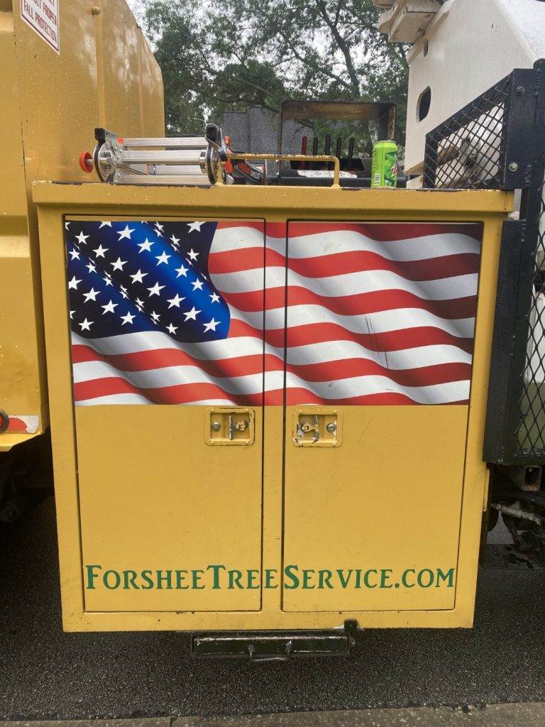Forshee Tree service equipment