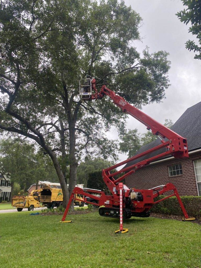 Using a CMC 72HD+ Arbor Pro to trim a large tree