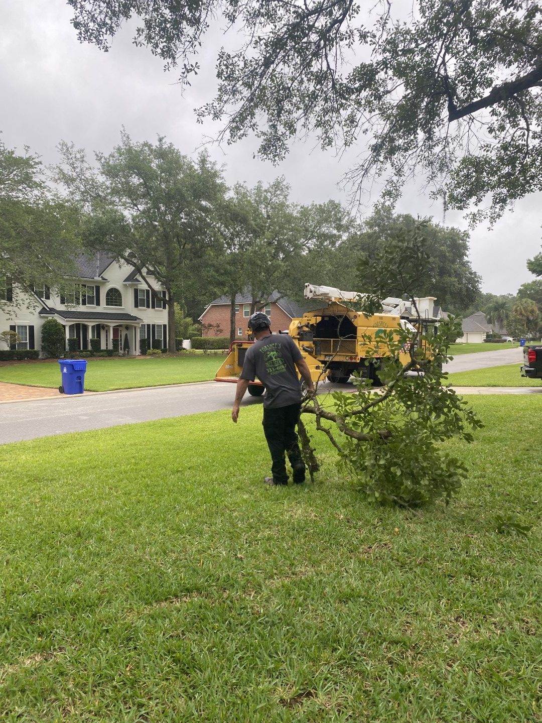 Forshee Tree Service technician taking trees to the side of road.