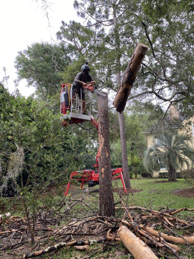 Tree Removal Service being performed from a CMC 72HD+ Arbor Pro