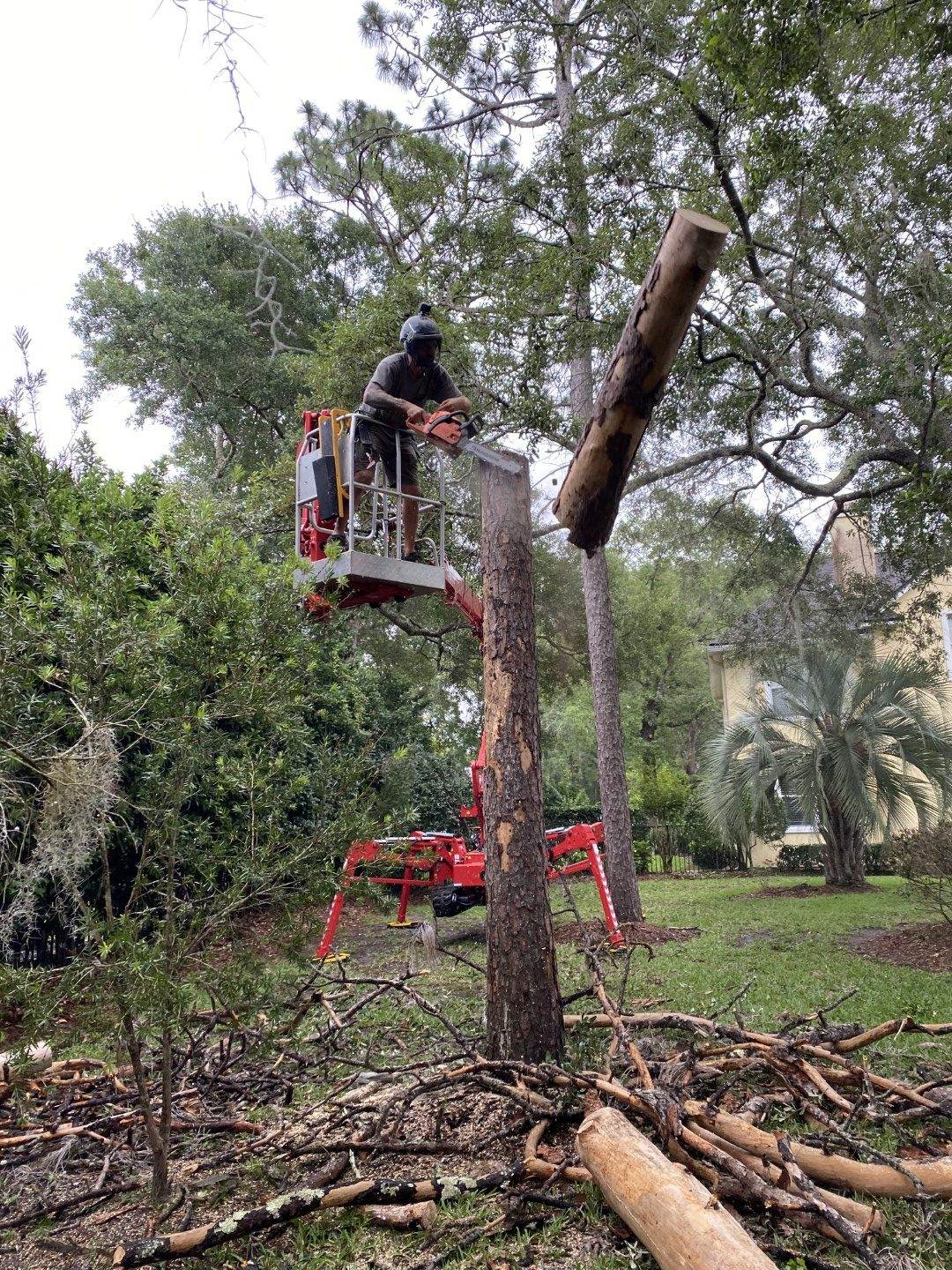 Tree Removal Service being performed from a CMC 72HD+ Arbor Pro