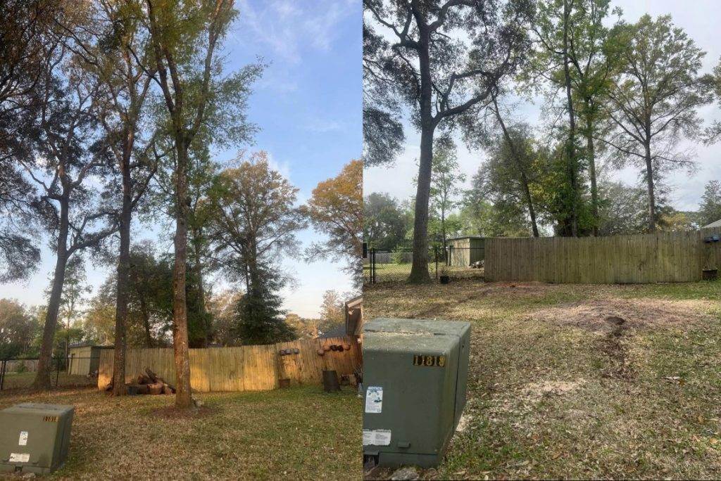 A tree removal expert using specialized equipment to safely remove a tree. Professional tree removal services ensure safety and preservation of surrounding landscape.